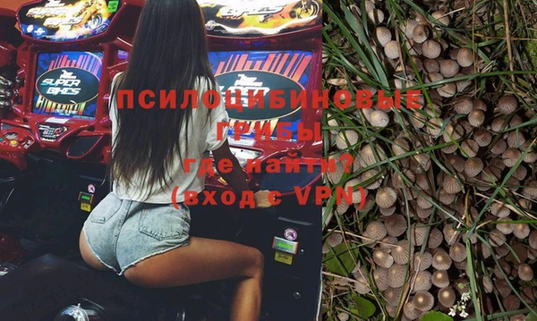 mdpv Верея