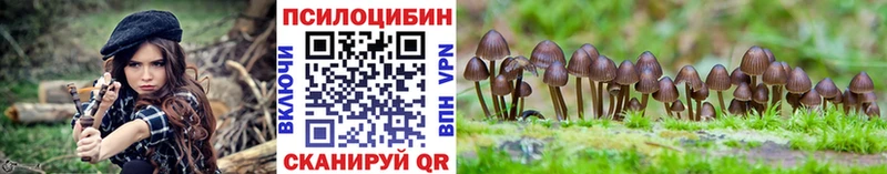 Купить закладки  Канск  Галлюциногенные грибы Psilocybe 